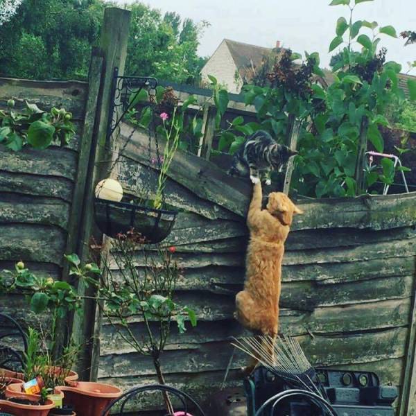 morning picdump 50 pics 7.html - 50 HD Photos | Premium Gallery 2016