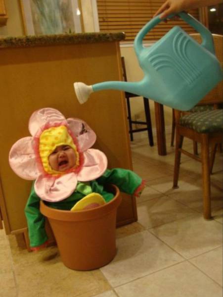 morning picdump 50 pics 7.html - 50 HD Photos | Premium Gallery 2016