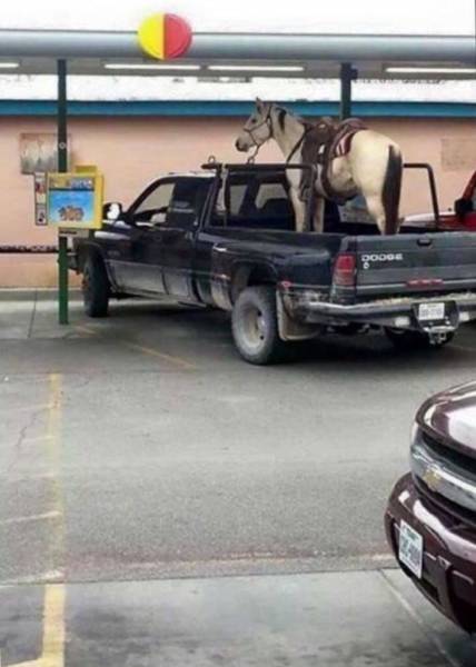 morning picdump 50 pics 7.html - 50 HD Photos | Premium Gallery 2016