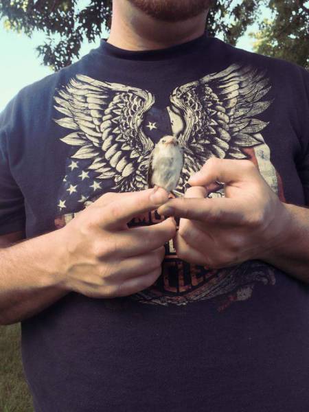 morning picdump 50 pics 7.html - 50 HD Photos | Premium Gallery 2016