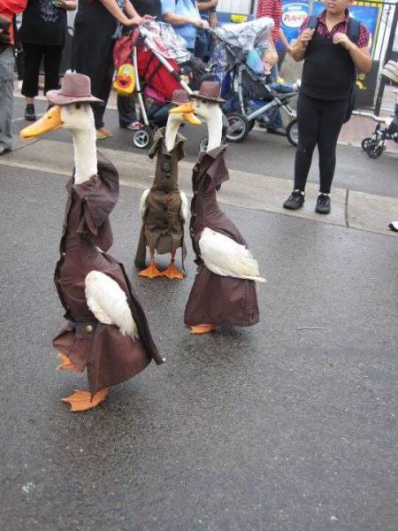 morning picdump 50 pics 7.html - 50 HD Photos | Premium Gallery 2016