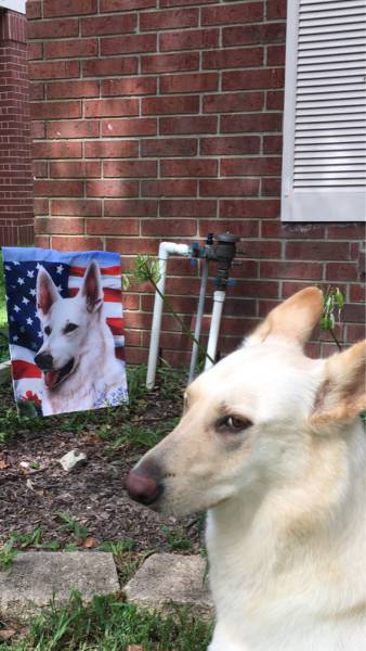 morning picdump 50 pics 6.html - 50 HD Photos | Premium Gallery 2016