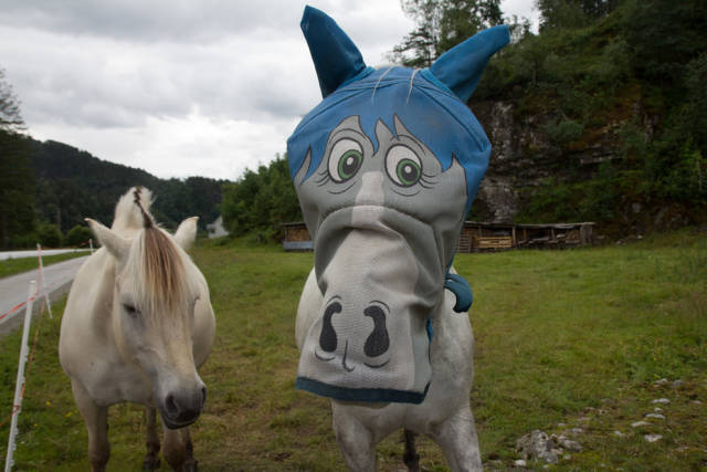 morning picdump 50 pics 6.html - 50 HD Photos | Premium Gallery 2016