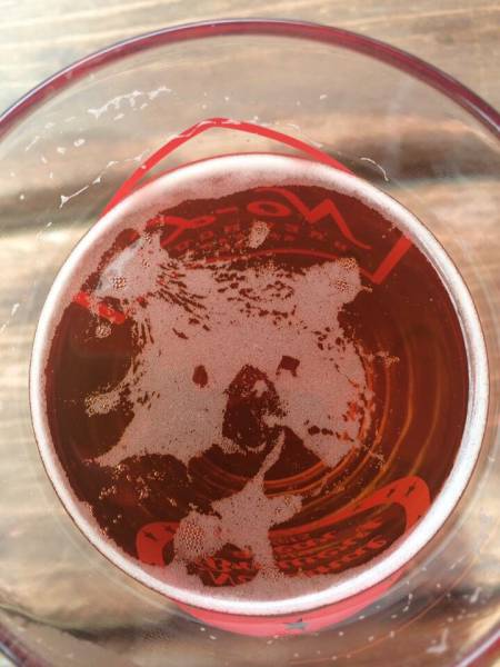 morning picdump 50 pics 21.html - 50 HD Photos | Premium Gallery 2016