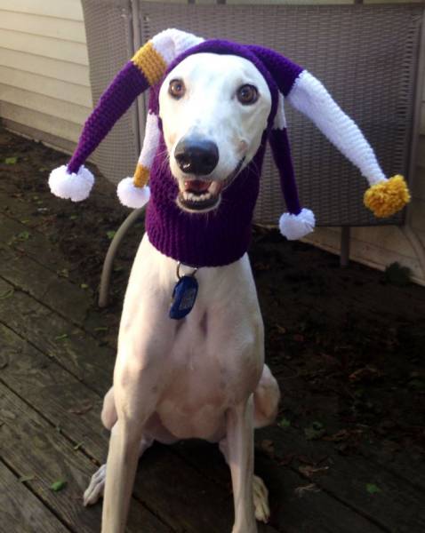 morning picdump 50 pics 21.html - 50 HD Photos | Premium Gallery 2016