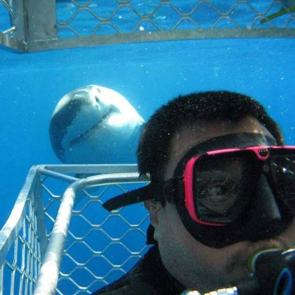 morning picdump 53 pics 12.html - 53 HD Photos | Premium Gallery 2016