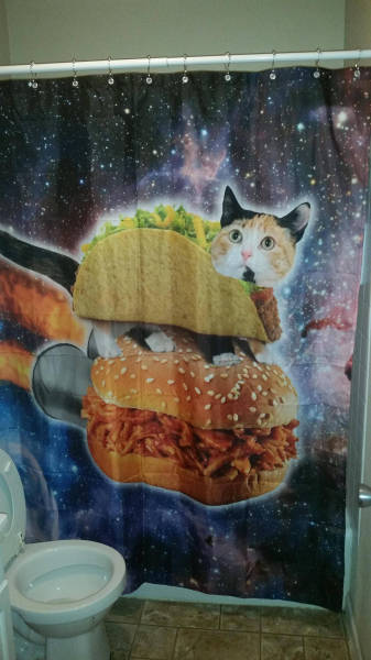 morning picdump 53 pics 12.html - 53 HD Photos | Premium Gallery 2016