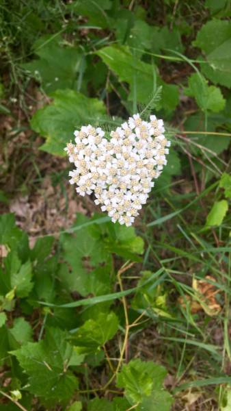 morning picdump 53 pics 12.html - 53 HD Photos | Premium Gallery 2016