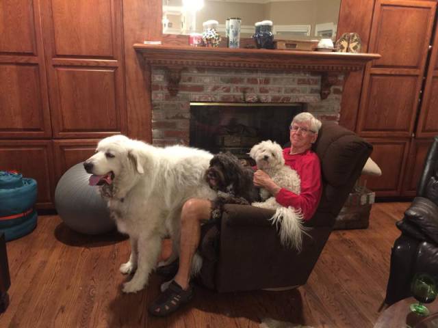 morning picdump 53 pics 12.html - 53 HD Photos | Premium Gallery 2016