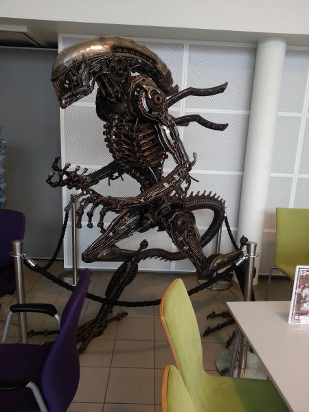 morning picdump 53 pics 12.html - 53 HD Photos | Premium Gallery 2016