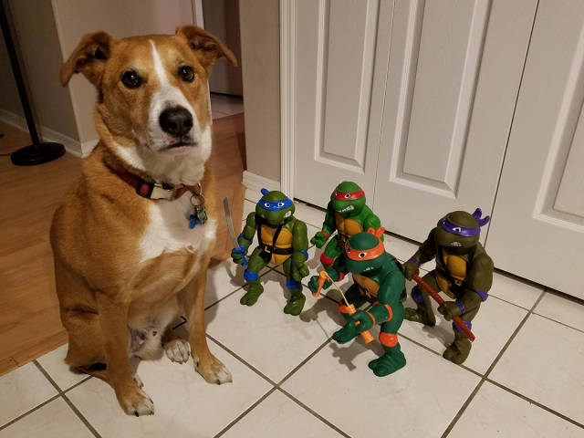 morning picdump 53 pics 12.html - 53 HD Photos | Premium Gallery 2016