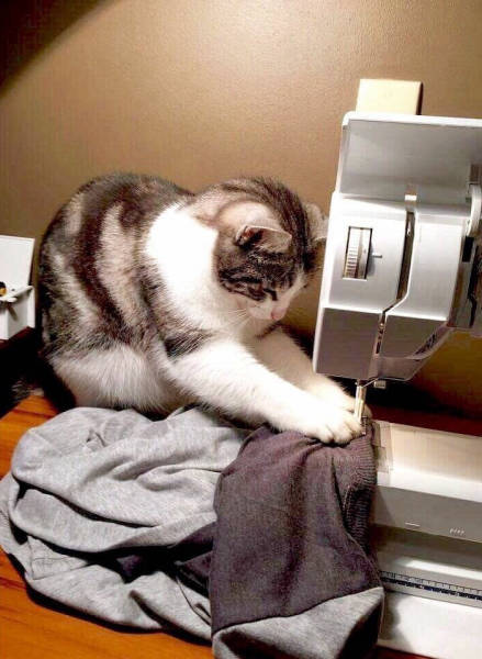 morning picdump 53 pics 12.html - 53 HD Photos | Premium Gallery 2016