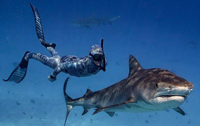 daily picdump 99 pics 19.html - 99 HD Photos | Premium Gallery 2016