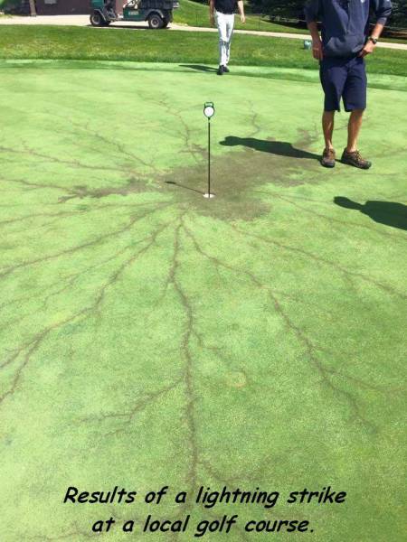 daily picdump 99 pics 19.html - 99 HD Photos | Premium Gallery 2016