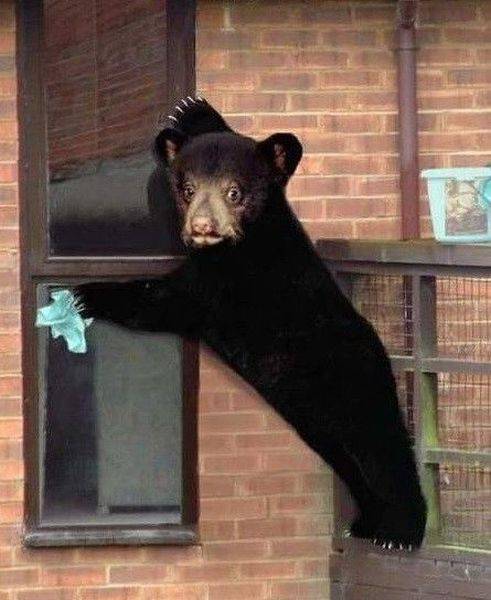 daily picdump 99 pics 19.html - 99 HD Photos | Premium Gallery 2016