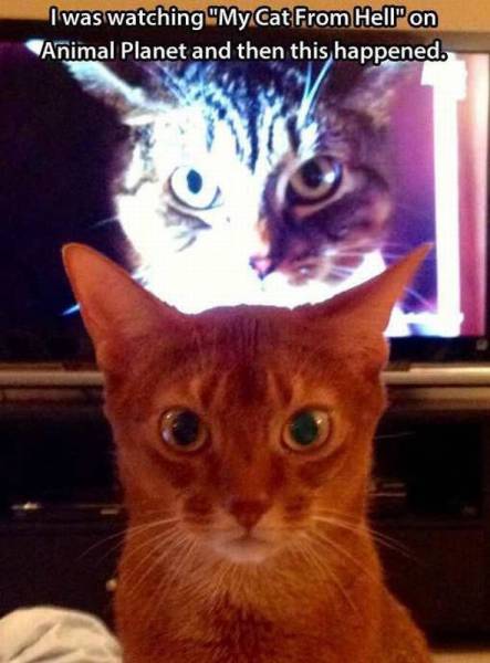 daily picdump 99 pics 19.html - 99 HD Photos | Premium Gallery 2016