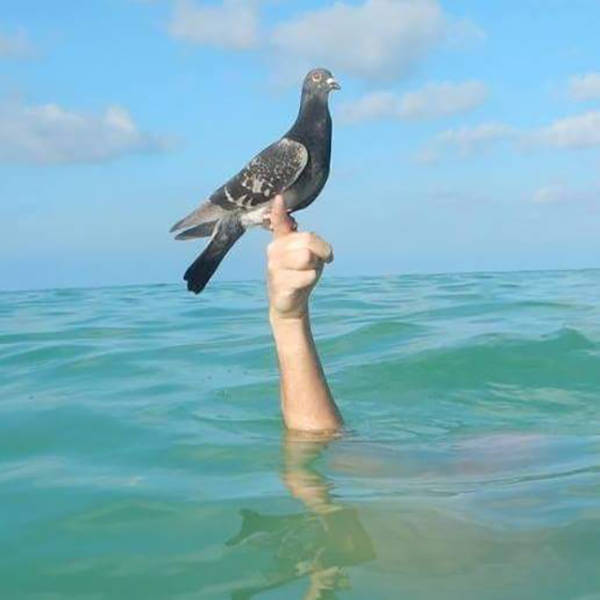 morning picdump 51 pics 19.html - 51 HD Photos | Premium Gallery 2016