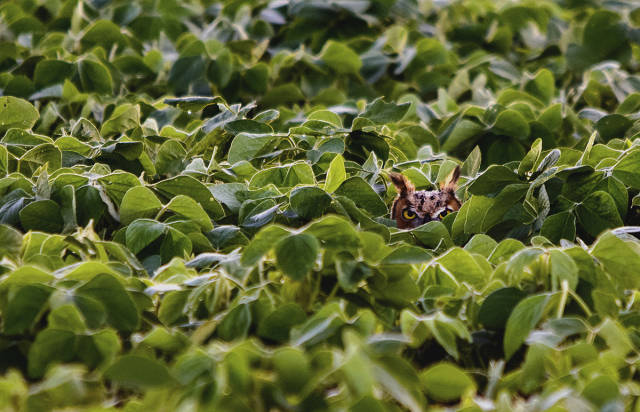 morning picdump 51 pics 19.html - 51 HD Photos | Premium Gallery 2016