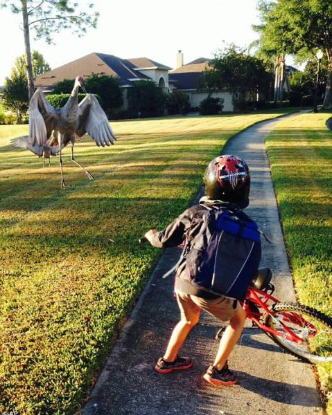 morning picdump 51 pics 19.html - 51 HD Photos | Premium Gallery 2016