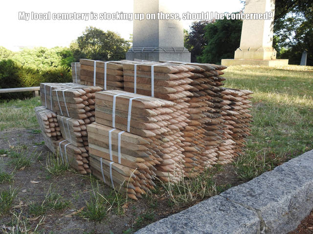 morning picdump 51 pics 19.html - 51 HD Photos | Premium Gallery 2016