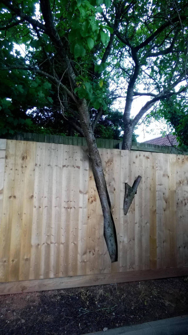 morning picdump 51 pics 19.html - 51 HD Photos | Premium Gallery 2016