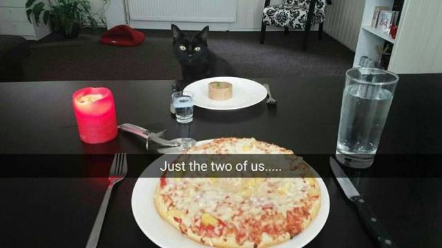 daily picdump 101 pics 36.html - 101 HD Photos | Premium Gallery 2016