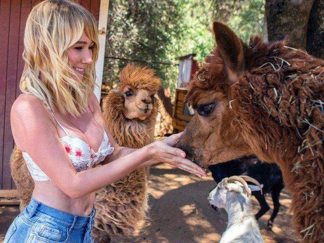 daily picdump 101 pics 36.html - 101 HD Photos | Premium Gallery 2016