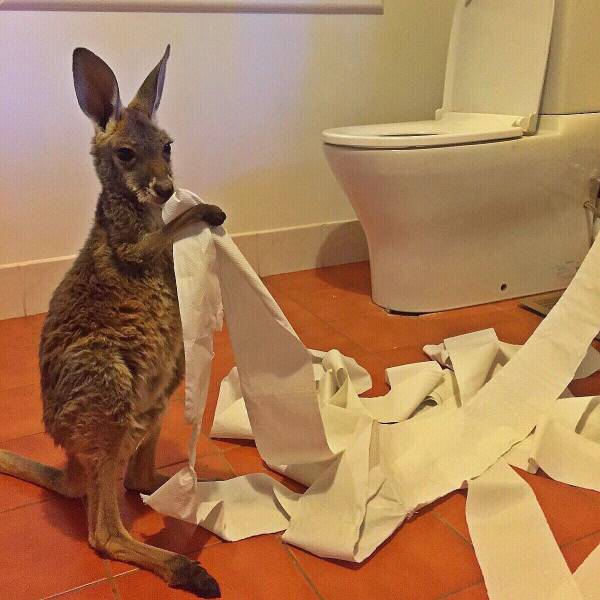 daily picdump 101 pics 36.html - 101 HD Photos | Premium Gallery 2016