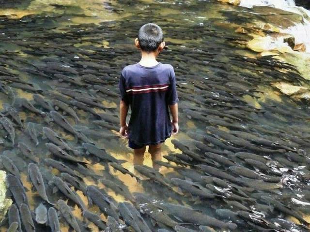 daily picdump 101 pics 36.html - 101 HD Photos | Premium Gallery 2016