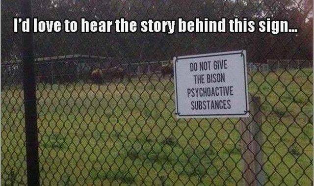 daily picdump 101 pics 36.html - 101 HD Photos | Premium Gallery 2016