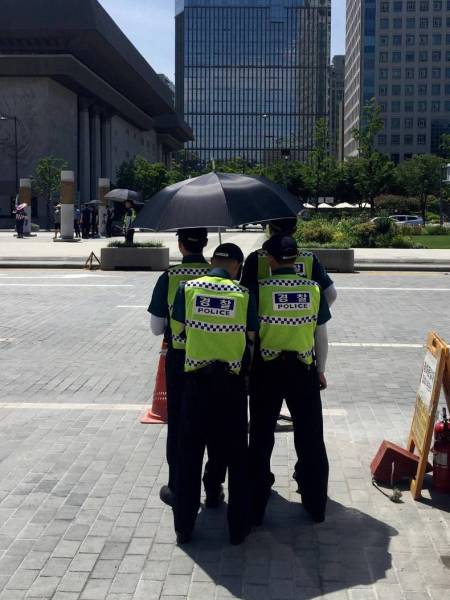 daily picdump 101 pics 36.html - 101 HD Photos | Premium Gallery 2016