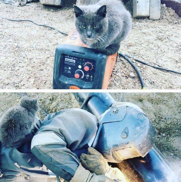 daily picdump 101 pics 36.html - 101 HD Photos | Premium Gallery 2016