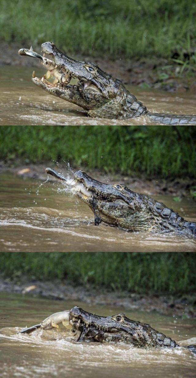 daily picdump 101 pics 36.html - 101 HD Photos | Premium Gallery 2016