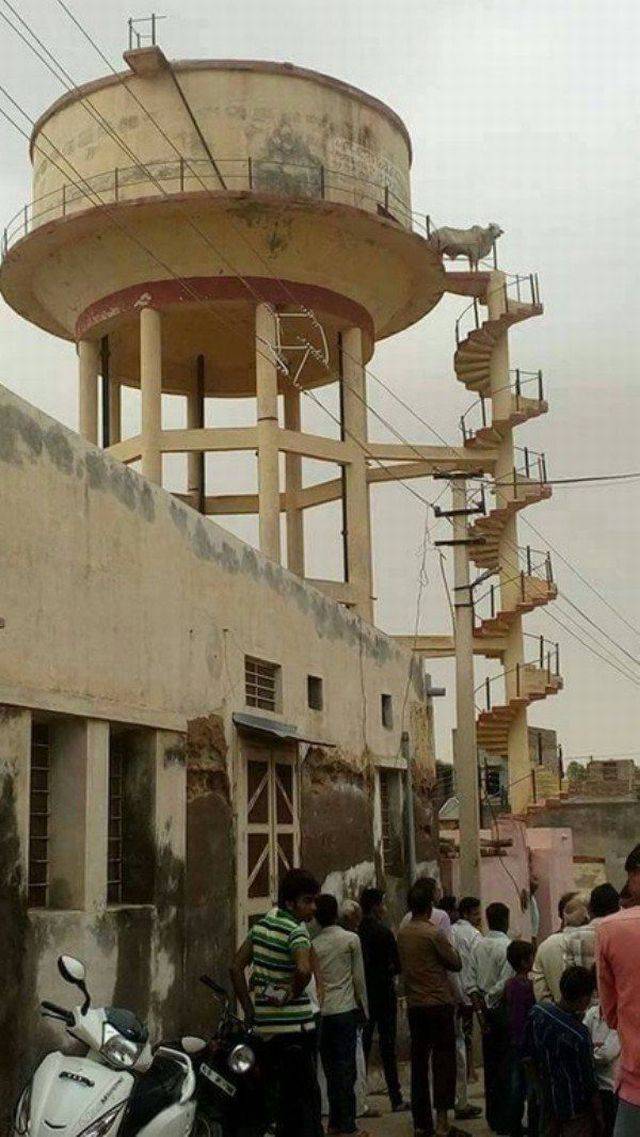 daily picdump 101 pics 36.html - 101 HD Photos | Premium Gallery 2016