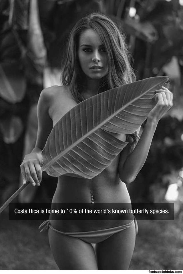 Facts are Best Served with Hot Chicks