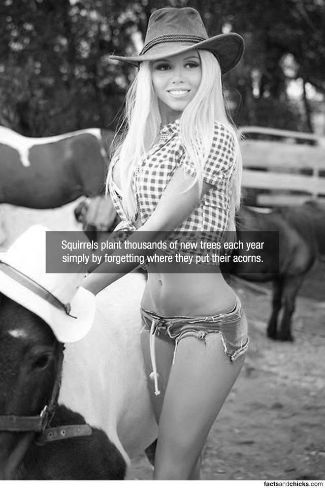 Facts are Best Served with Hot Chicks