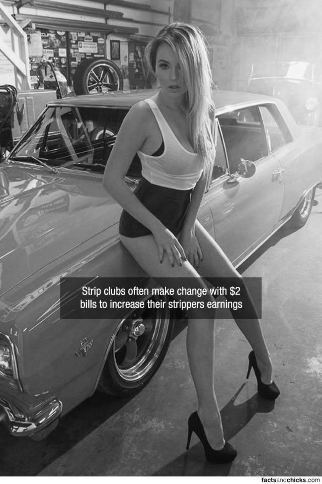 Facts are Best Served with Hot Chicks