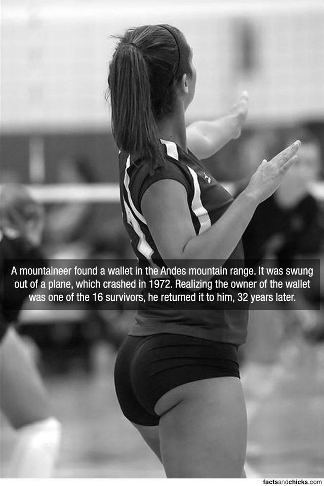 Facts are Best Served with Hot Chicks