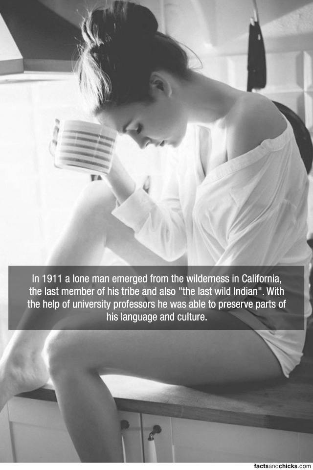 Facts are Best Served with Hot Chicks