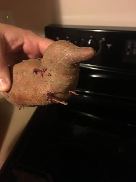 morning picdump 51 pics 26.html - 51 HD Photos | Premium Gallery 2016