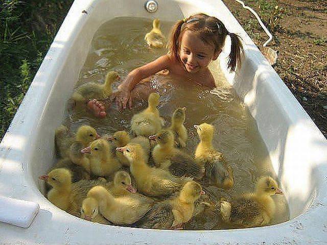 daily picdump 99 pics 10.html - 99 HD Photos | Premium Gallery 2016