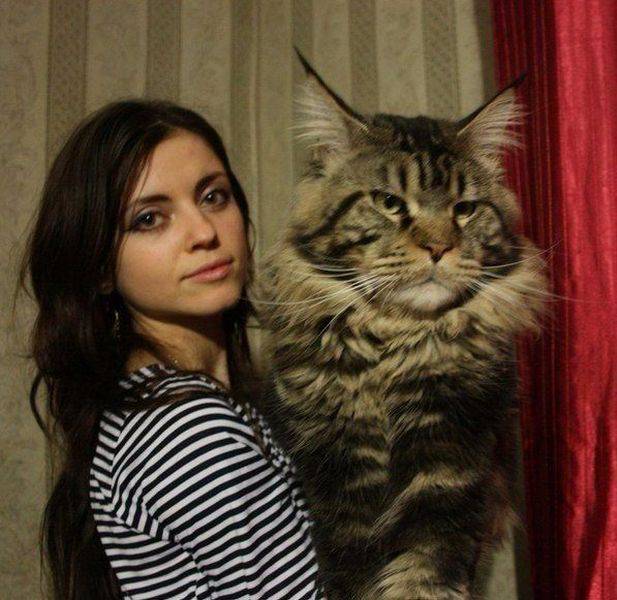 daily picdump 99 pics 10.html - 99 HD Photos | Premium Gallery 2016