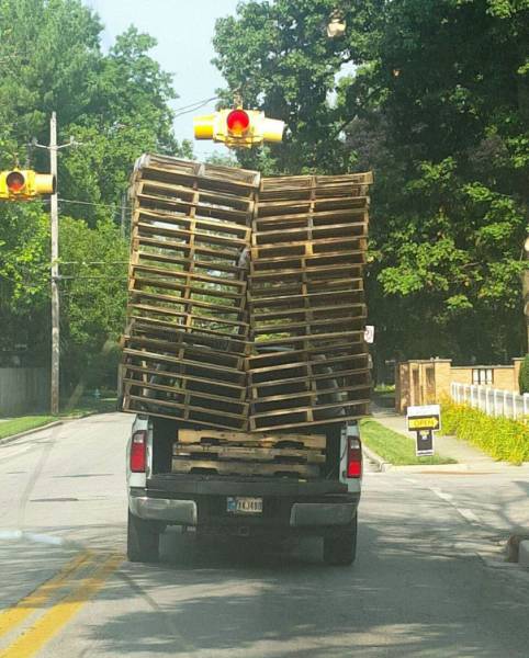 daily picdump 99 pics 10.html - 99 HD Photos | Premium Gallery 2016