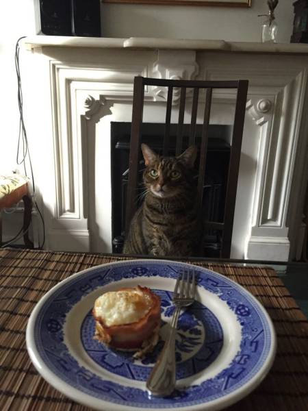 daily picdump 99 pics 10.html - 99 HD Photos | Premium Gallery 2016