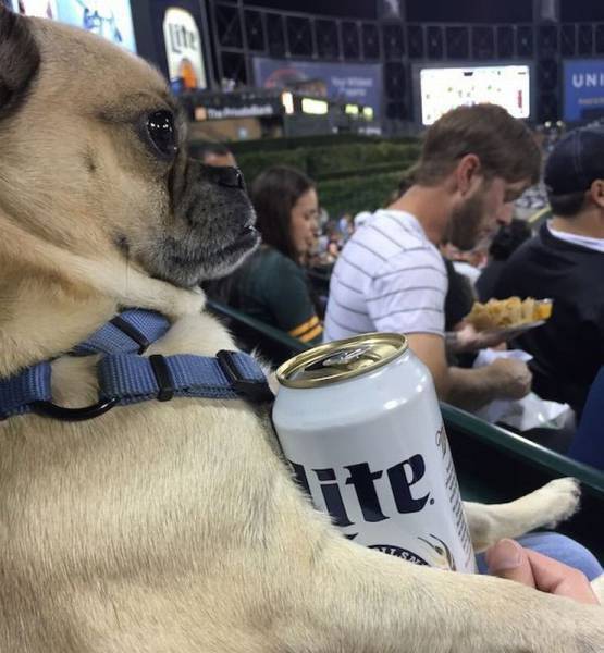 daily picdump 99 pics 10.html - 99 HD Photos | Premium Gallery 2016