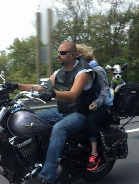 daily picdump 99 pics 10.html - 99 HD Photos | Premium Gallery 2016