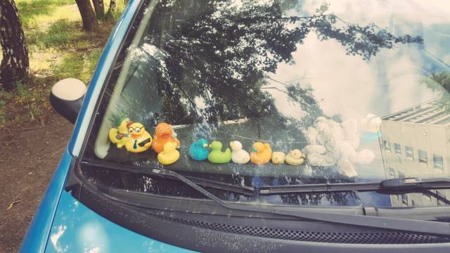 morning picdump 50 pics 8.html - 50 HD Photos | Premium Gallery 2016