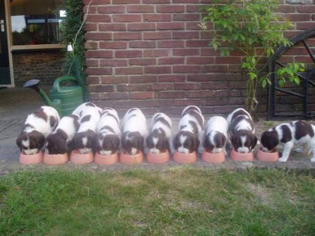 morning picdump 50 pics 8.html - 50 HD Photos | Premium Gallery 2016