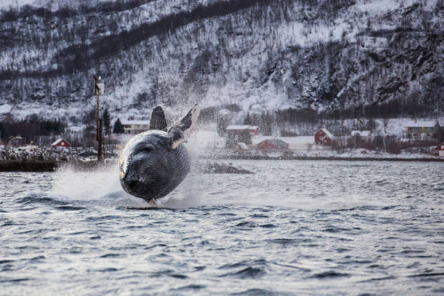 morning picdump 52 pics 20.html - 52 HD Photos | Premium Gallery 2016