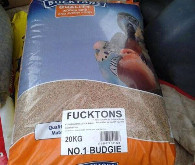 morning picdump 52 pics 20.html - 52 HD Photos | Premium Gallery 2016